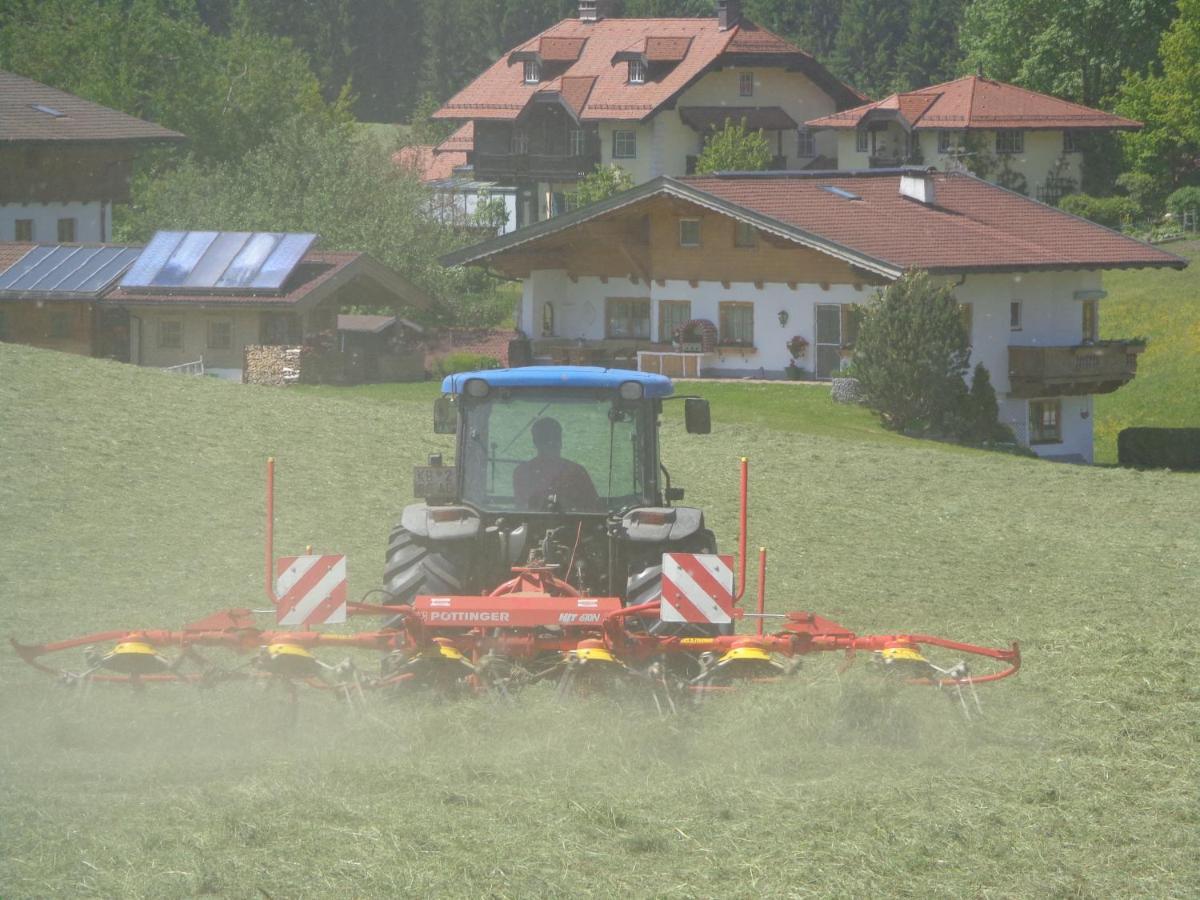 Hinterlechnerhof Hotell Westendorf Eksteriør bilde